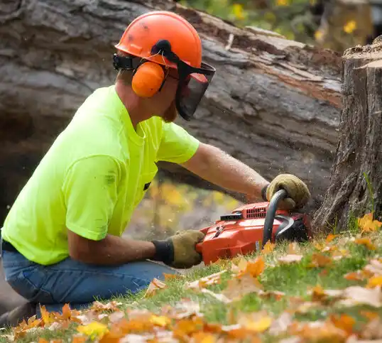 tree services Stamping Ground